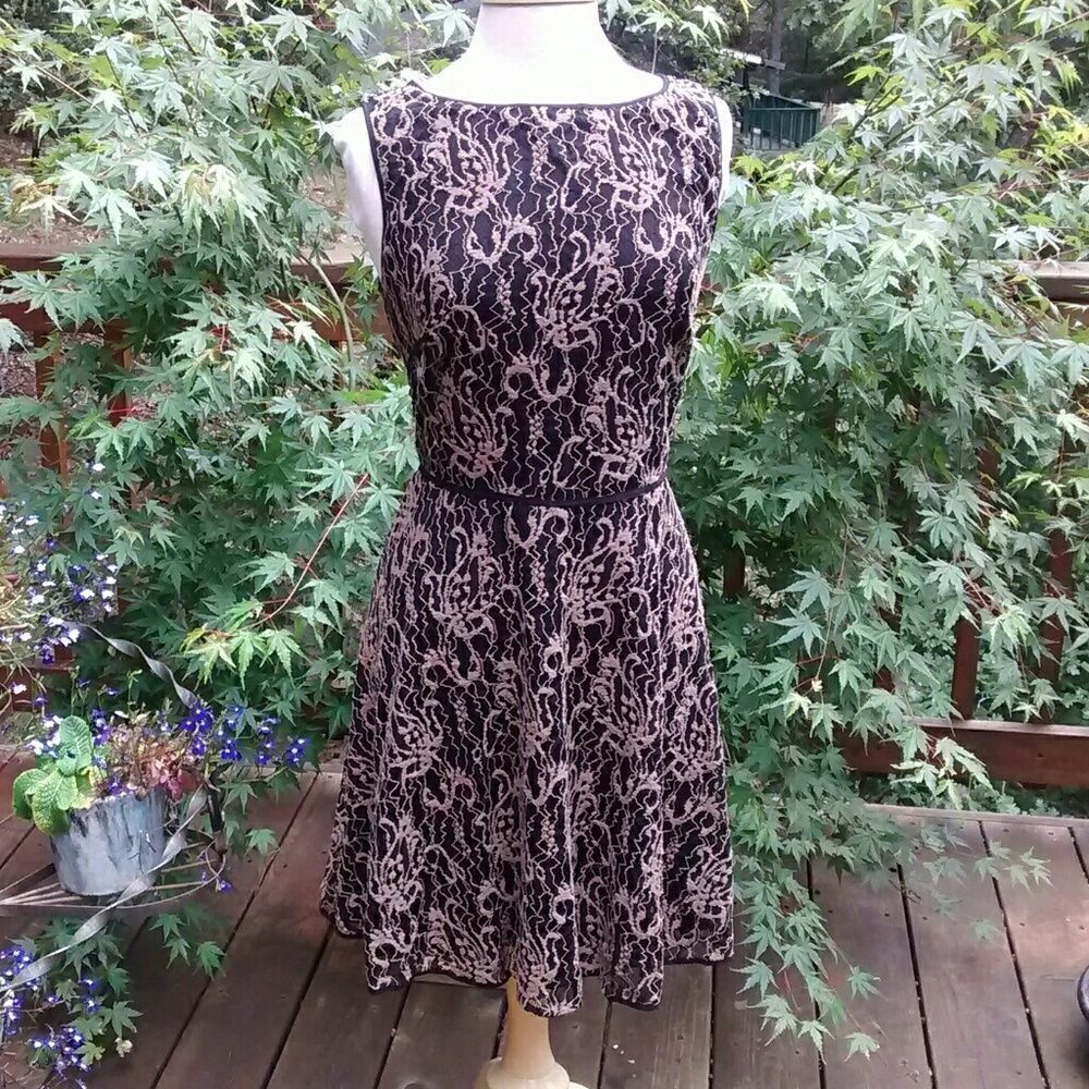 Studio M Dress